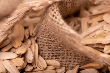 White sunflower seeds scattered on the background of coarse burlap, close-up selective focus.