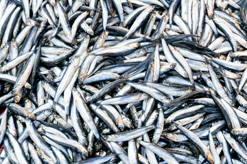 Texture and fresh caught silvery small fish in the market.
