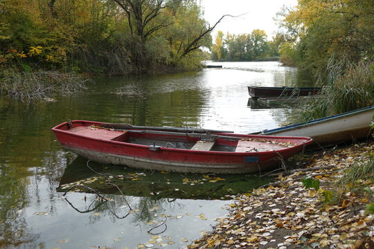Colourful boats tied up at the shore of Blaue Adria recreational area and natural habitat on an autumn day, Altrip Germany