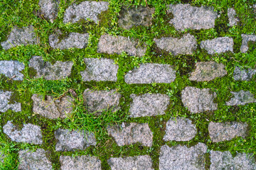 Texture of young grass sprouted in the old stone pavement.