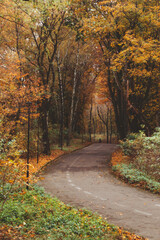 Naklejka premium people walking outdoors by autumn city park