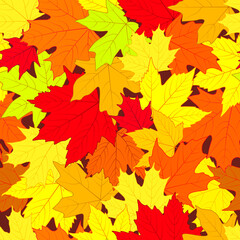 Naklejka na ściany i meble Seamless pattern. Autumn leaves of different types of maple and different shades. Background from autumn leaves.