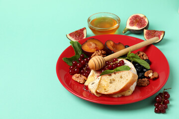 Concept of tasty food with grilled camembert on mint background
