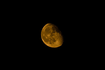 Obraz premium full moon rising