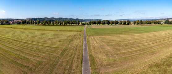 Alley of trees between Herleshausen and Lauchr&ouml;den in Hesse in Germany
