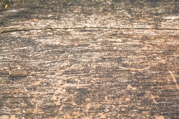 Empty wood surface for background purpose.
