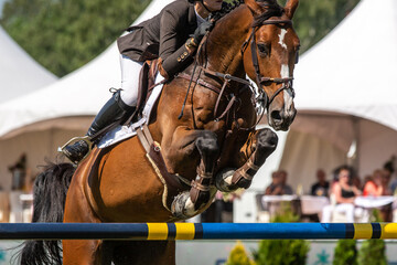 Horse Jumping, Equestrian Sports, Show Jumping themed photo.