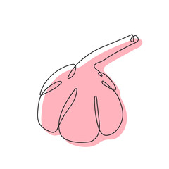 Garlic one-line art with abstract spot,stylized continuous contour.Hand-drawn drawing outline,farm product,spicy vegetarian food, proper nutrition, healthy diet.Sketch, doodle,minimalism.Isolated.