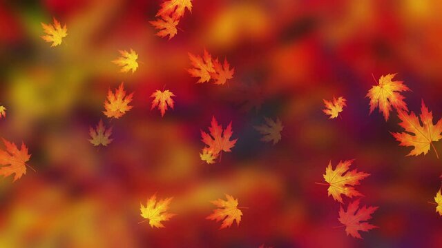 Colorful Fall Season Background Loop