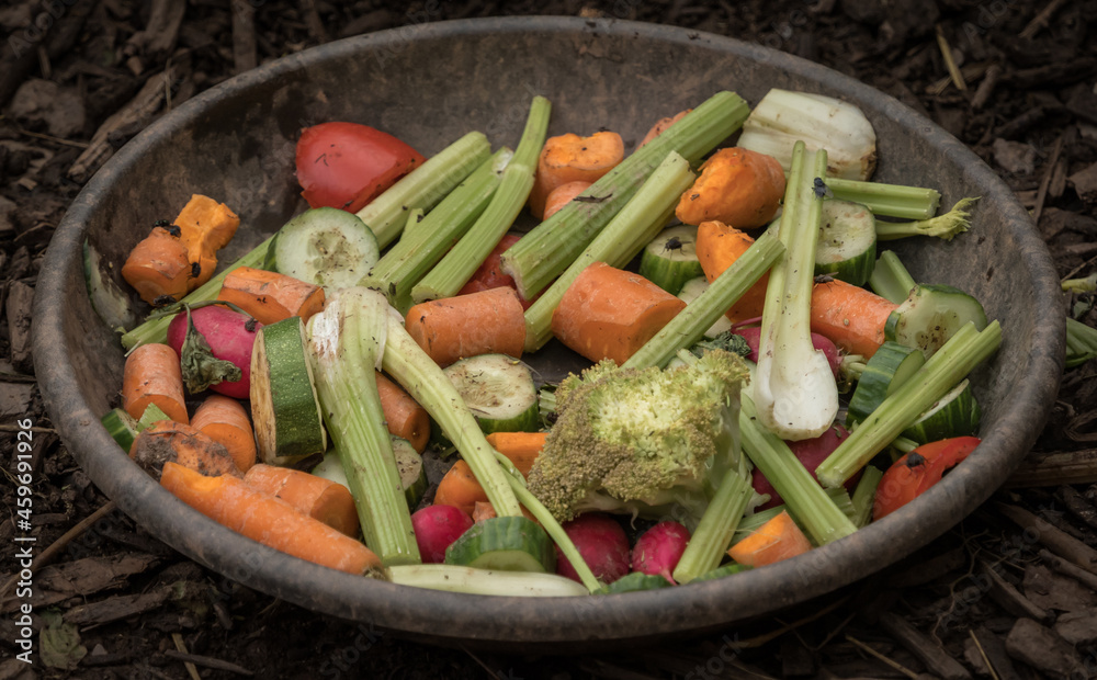 Poster Closeup shot of an assortment of cut vegetables in a bowl