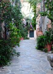 Fototapeta na wymiar Cozy Narrow Alley Decorated With Plants In Ramatuelle France On A Beautiful Autumn Day