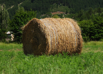 Golden Colored Round Hay Bale In The Fields Near Castellane France On A Beautiful Summer Day