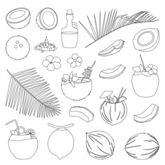 Coconut isolated outline set icon. Vector illustration coco on white background. Vector outline set icon coconut.
