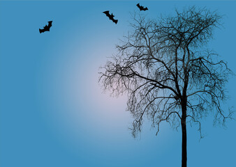 Leafless  trees  the dark leaving an eerie scene ;Silhouette of scary Halloween tree background  back side.