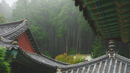 foggy temple roof (안개낀 사찰의 지붕)