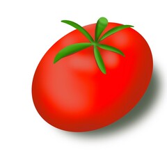 red ripe tomato with green tail illustration