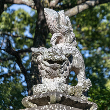 Komainu Bilder Durchsuchen 10,610 Archivfotos, und