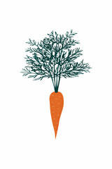 Carrots with green leaves and tops in a flat style. Vector illustration on a white background. The icon is isolated.