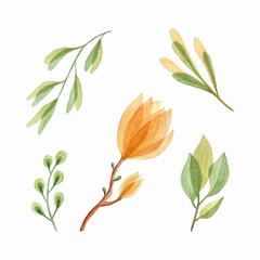 Botanical watercolor set, hand drawing, magnolia leaves branches, design elements, isolated, white background. Vector illustration