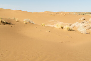 A beautiful panoramic view of the sand dunes. Endless arid desert