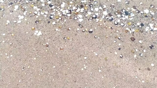 Tranquil scenery at river coast with little waves and shells at seashore shows relaxation holiday at ocean or river in top view and slow motion for beach backgrounds with seamless looping and pebbles