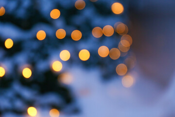 blurred photo of Christmas tree in a luminous garland