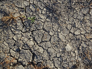 Dry earth