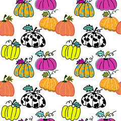 Summer flowers daisy 