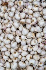 Gray heads of garlic lie on the market counter and form an abstract texture. Autumn agricultural fair.