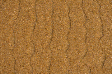 Background texture formed by water on the beach sand creating curious shapes
