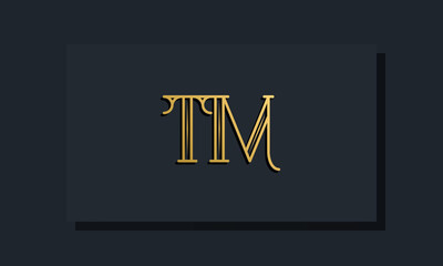 Minimal Inline style Initial TM logo.