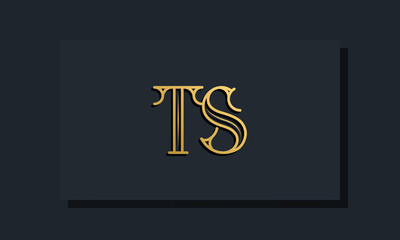 Minimal Inline style Initial TS logo.