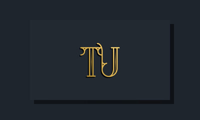 Minimal Inline style Initial TU logo.