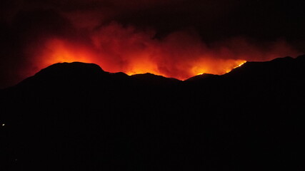 Forest in a fire. Turkey. Mugla.
