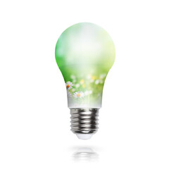 Renewable energy, sustainability, ecology concept. Light bulb made of green plants isolated over white background