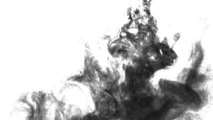 Obraz premium background smoke 