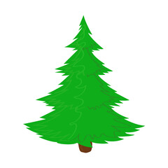 Christmas tree, isolated on a white background, fir,  spruce, pine