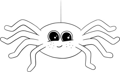 süße Spinne im Spinnennetz
