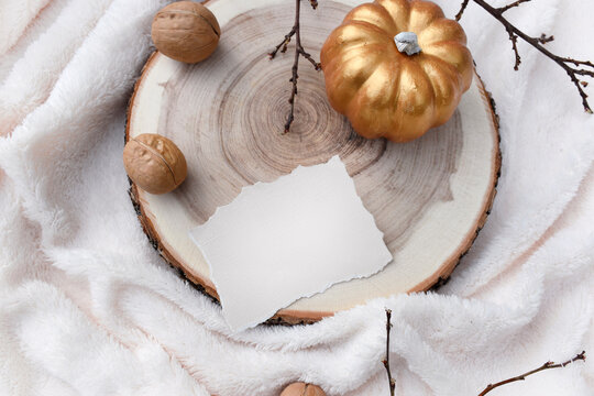 Autumn mockup still life scene with empty card  wooden round tray, pumpkin and walnuts on white plaid. Nordic home decor flat lay for fall wedding invitation  or Thanksgiving. Trendy layout concept.