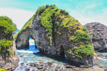 Obraz premium Pilolcura