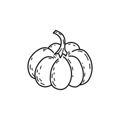 Pumpkin. Autumn harvest. Doodle style.