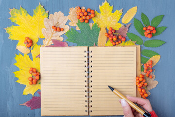 A hand holding a pen over a blank lined craft notepad on a background of autumn fallen dry colorful leaves.