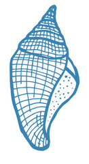 Sea clam shell for design, logo or icon
