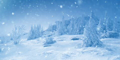 Verschneiter Kalter Winterwald mit Schneflocken im Vordergrund