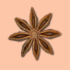 
A single star from star anise. Cut out on a light orange background with a drop shadow.