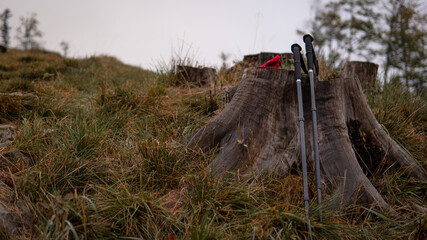 Fototapeta premium Ascent into the mountains, nordic walking sticks and a backpack, a traveler's set. Wonderful sunset in the background