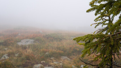 the silhouette of a man in the fog. Dense fog in the mountains. The concept of extreme tourism, trekking