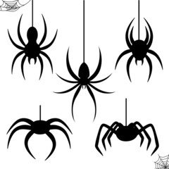 Halloween celebration  stencil spider black