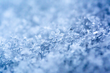 Obraz premium Extreme macro photo of a snowflake. Natural snow texture. Macro texture of snow, snowflakes.