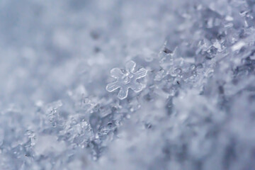 Extreme macro photo of a snowflake. Natural snow texture. Macro texture of snow, snowflakes.